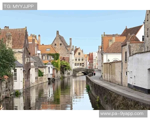 邦纳谈克尼佩尔与弗拉格的合作经历现阶段得分能力显著提升